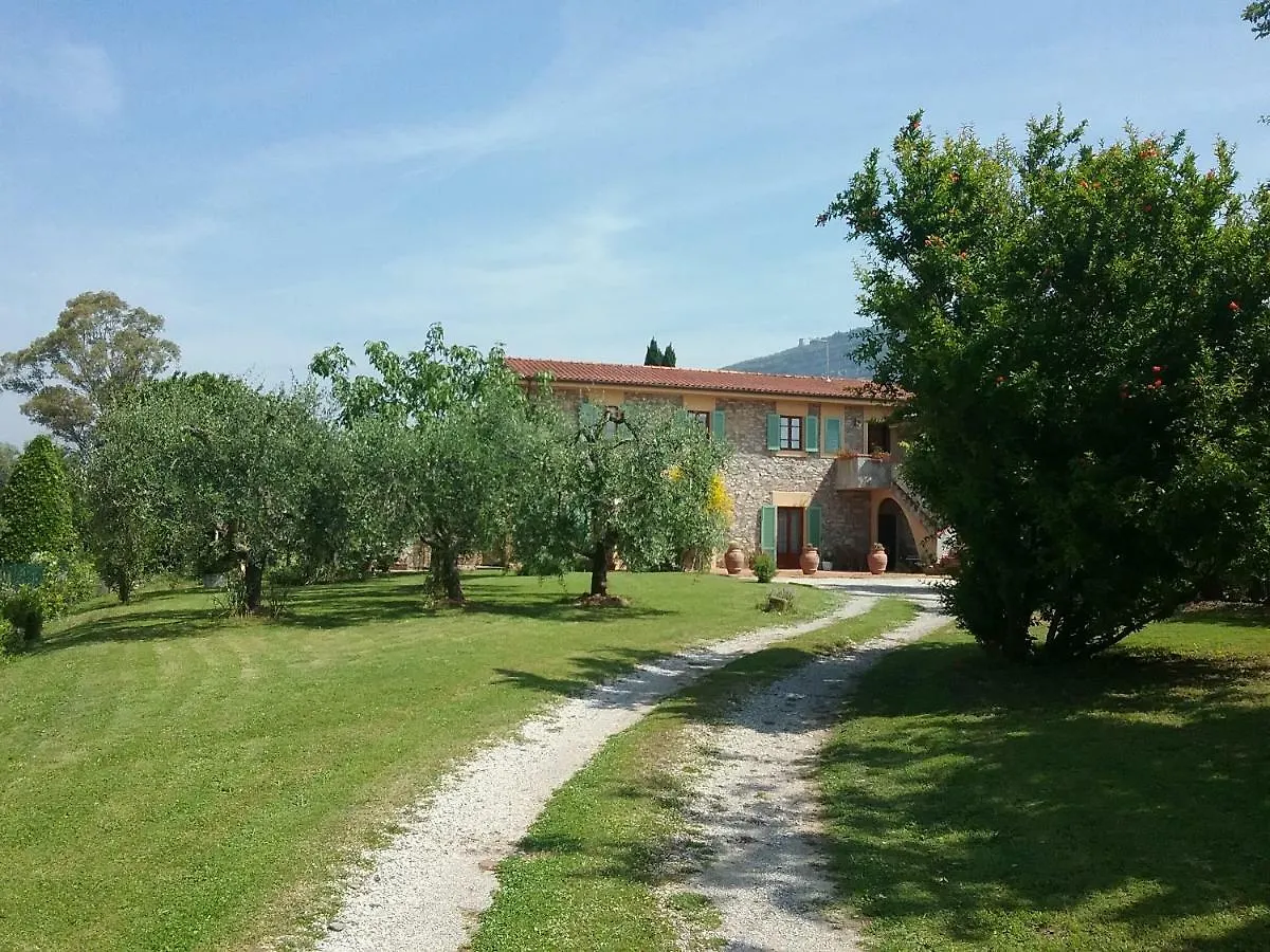 Locazione Turistica La Ginestra Apartment Monsummano Terme